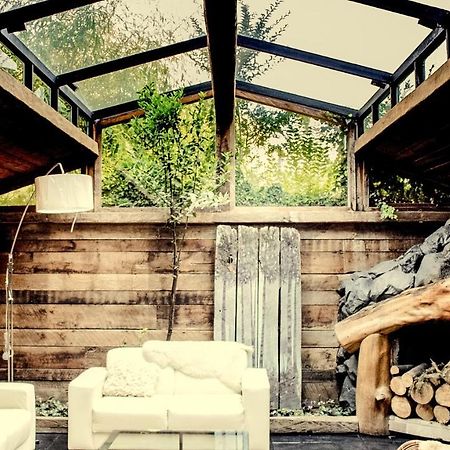 Newen B&B Pucón Dış mekan fotoğraf