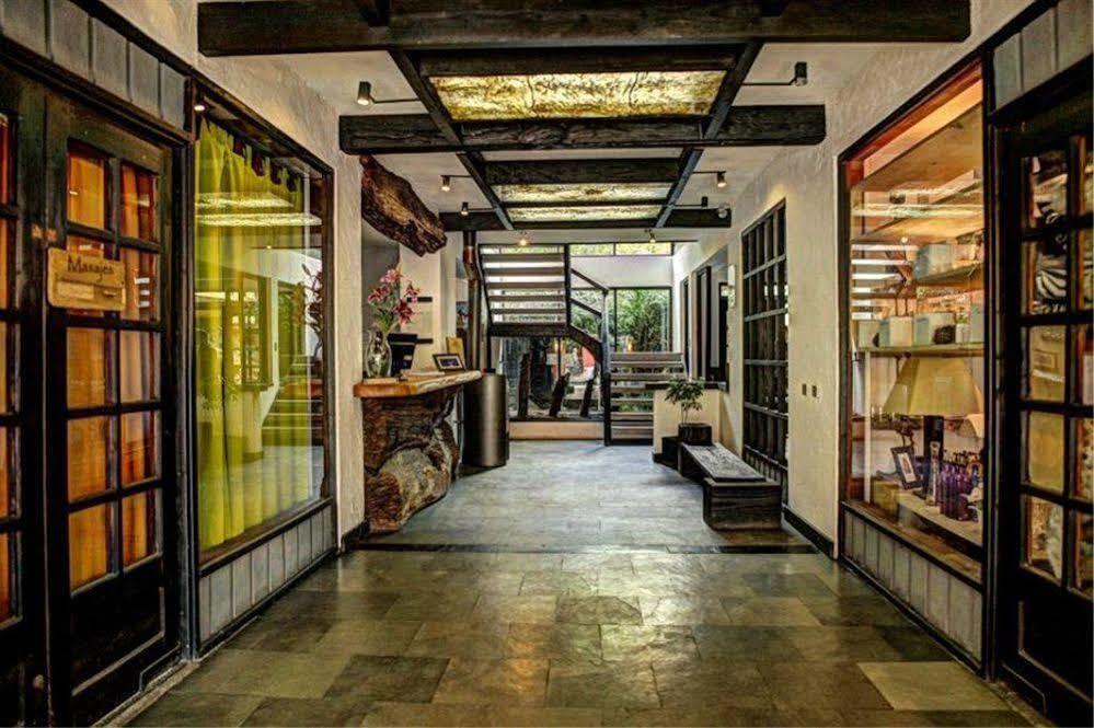 Newen B&B Pucón Dış mekan fotoğraf